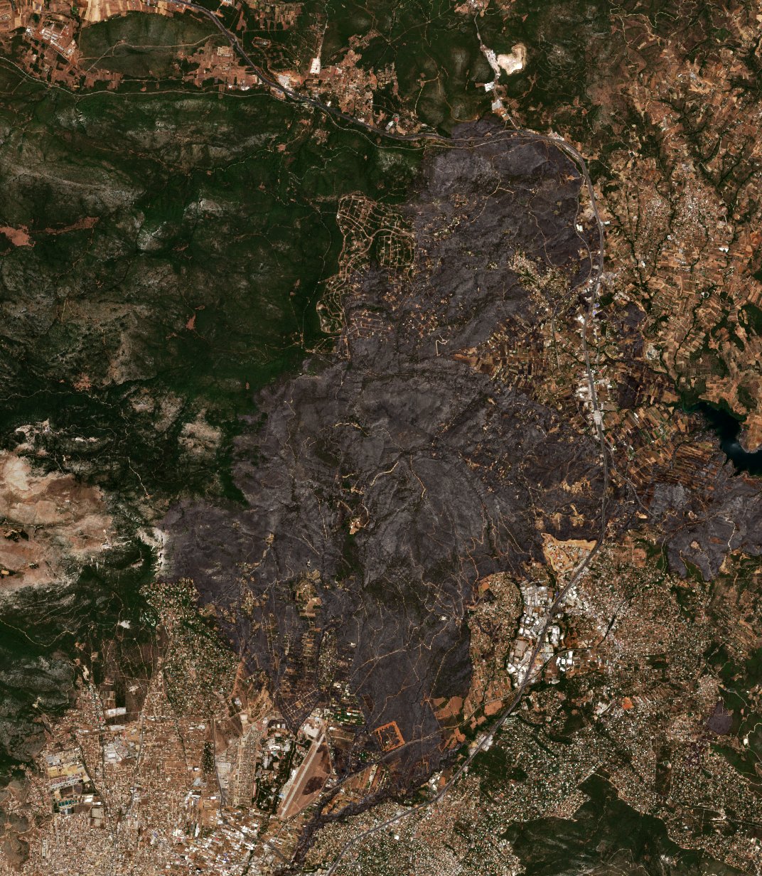The area after the fire, August 8, 2021
