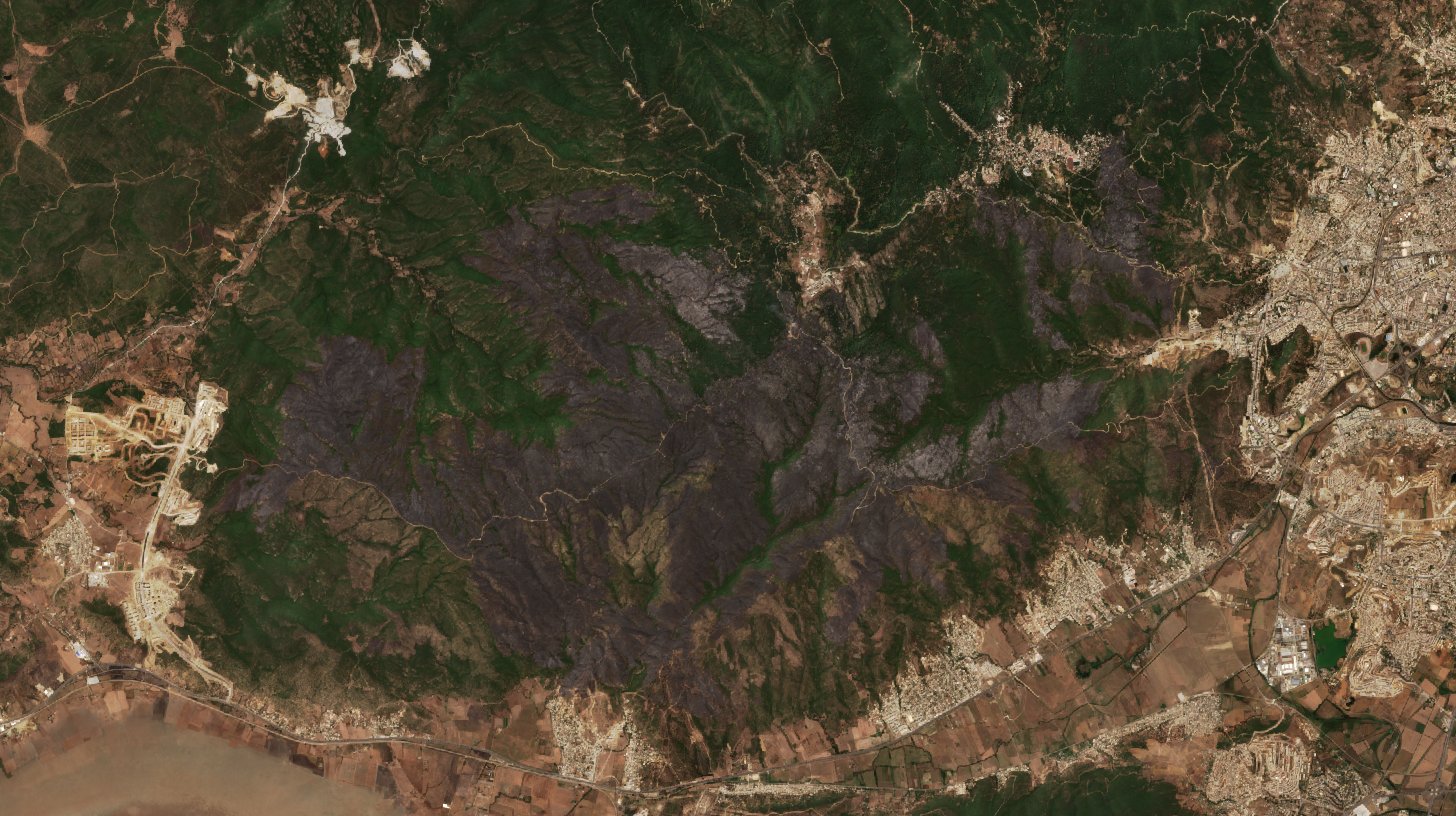 The area after the fire, August 7, 2017