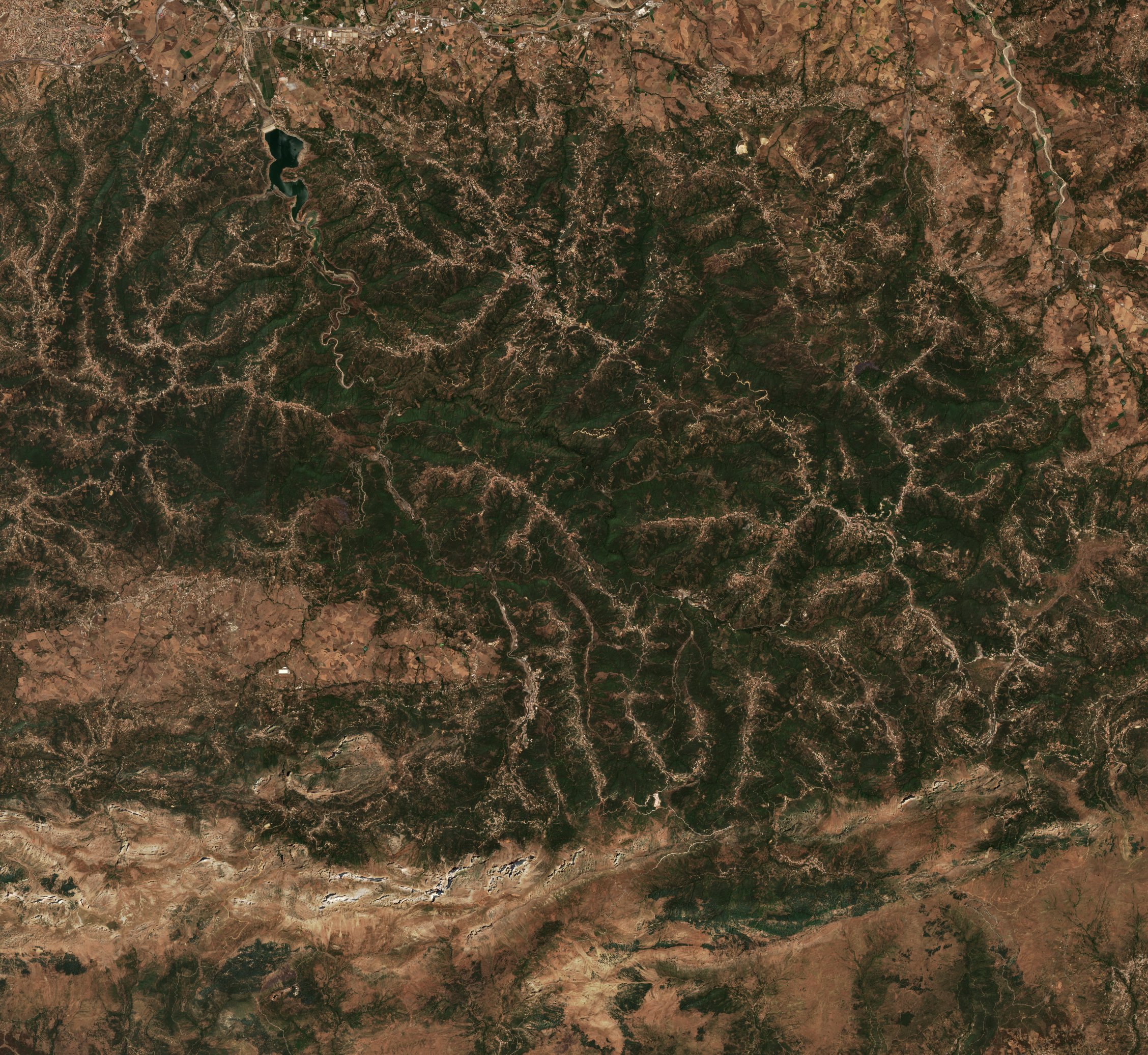 Sentinel-2 images