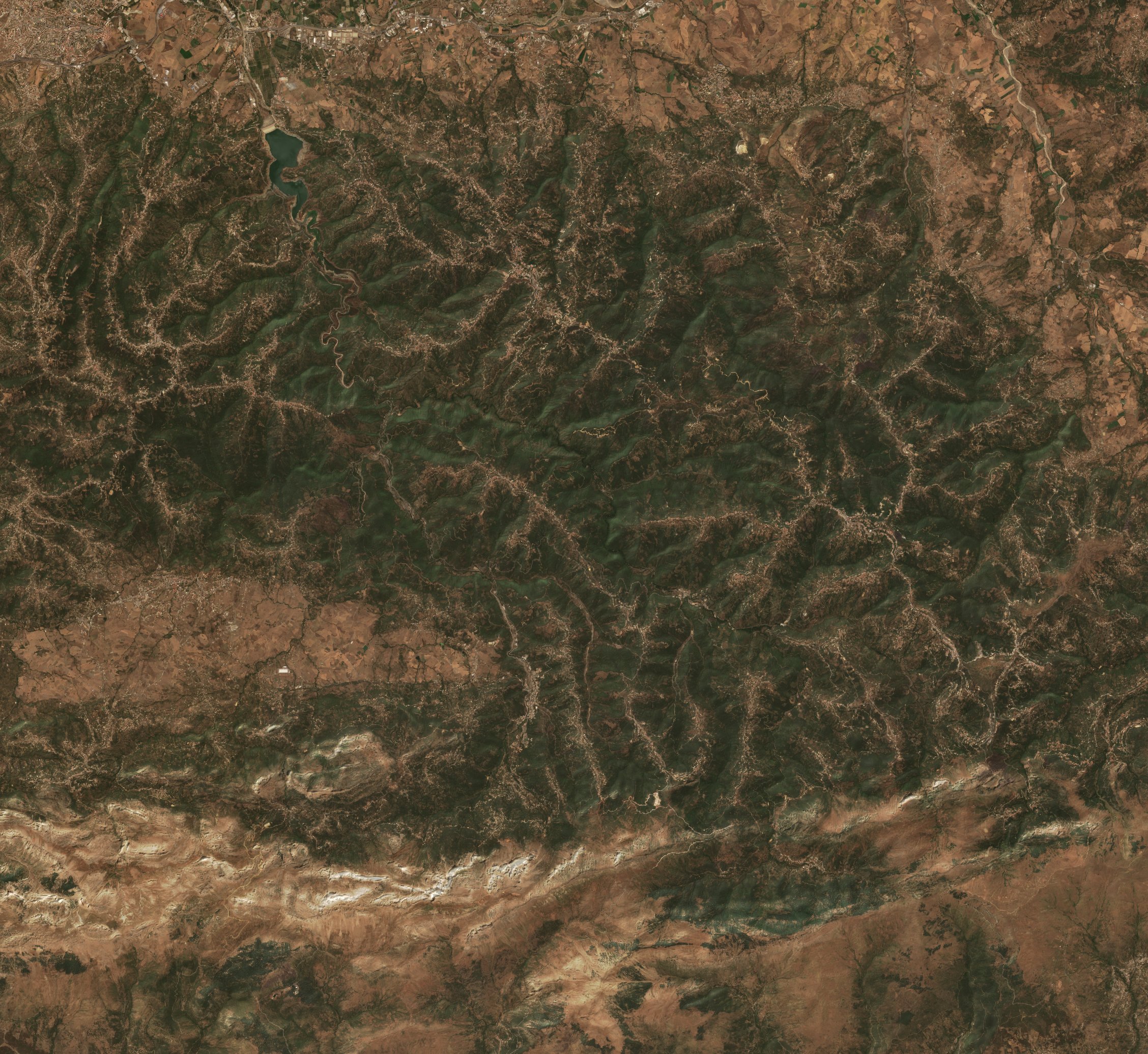 The area before the fire, August 7, 2021