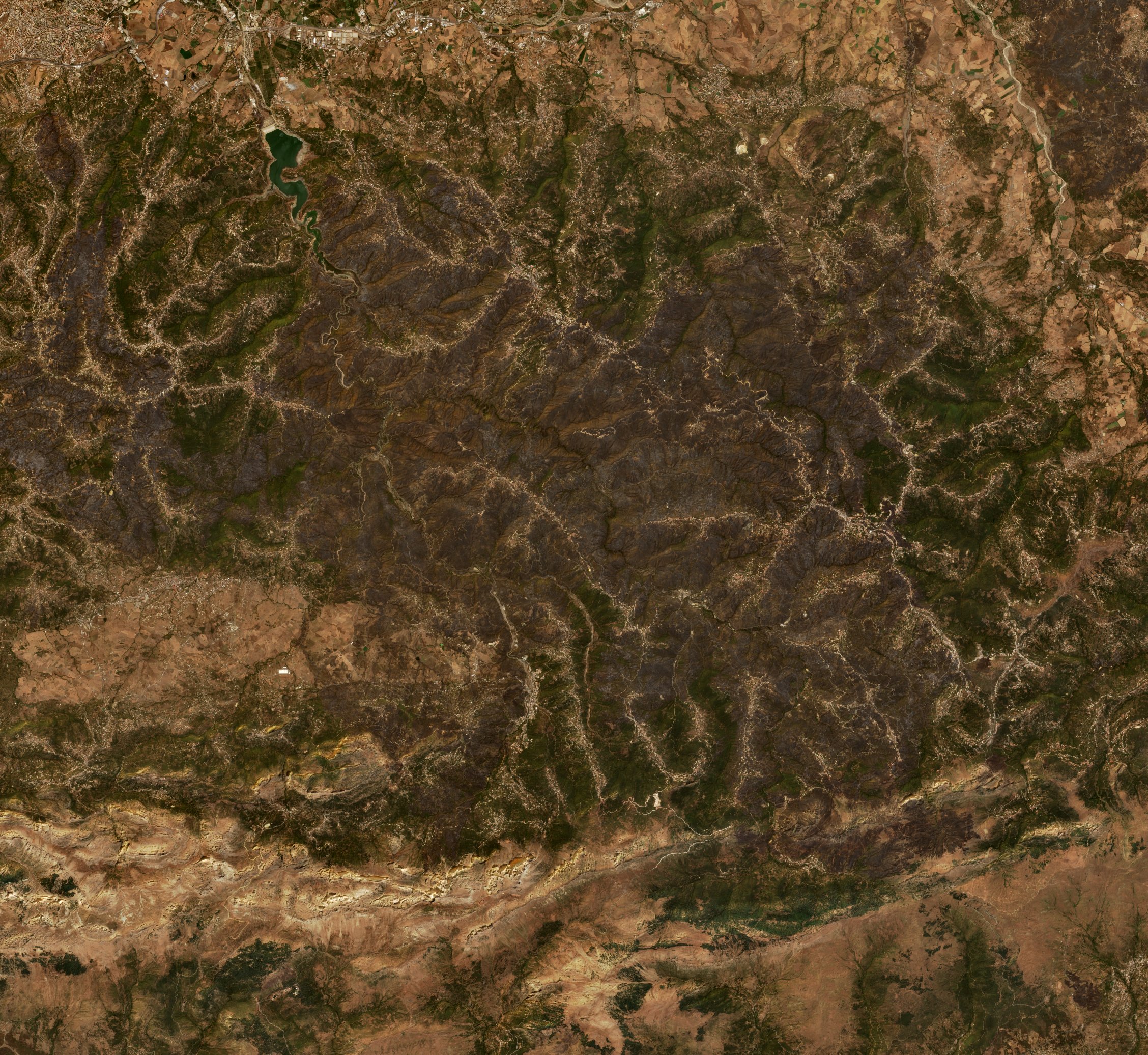 The area after the fire, August 17, 2021