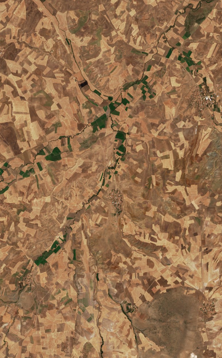 The area before the fire, August 5, 2026
