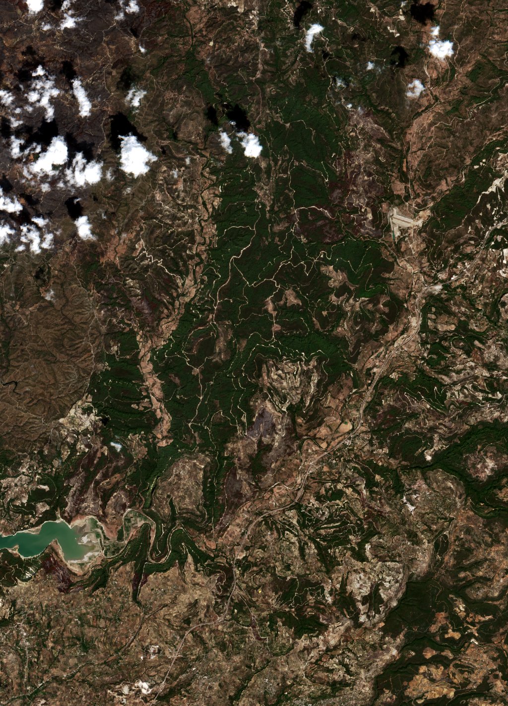 The area before the fire, September 11, 2025