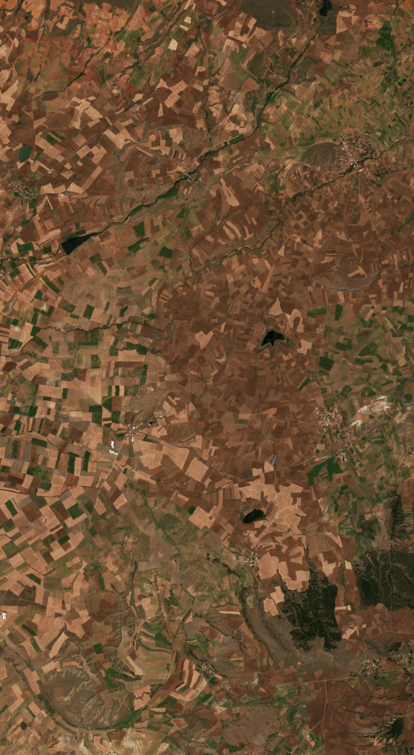 The area before the fire, July 28, 2026