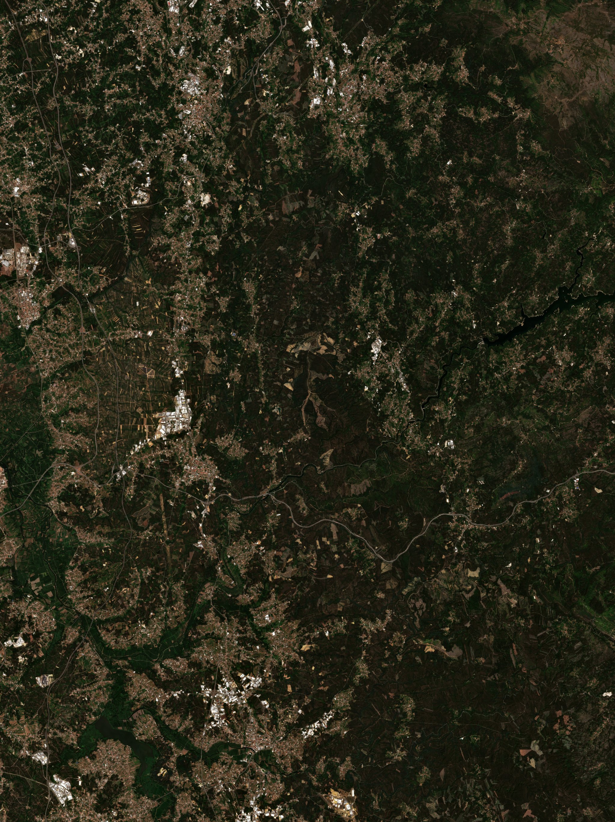 The area before the fire, August 16, 2024