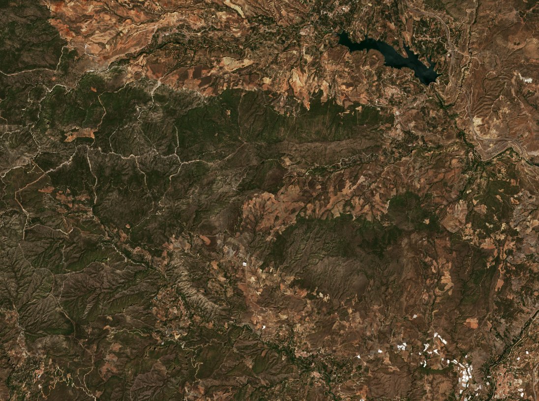 The area before the fire, August 21, 2022