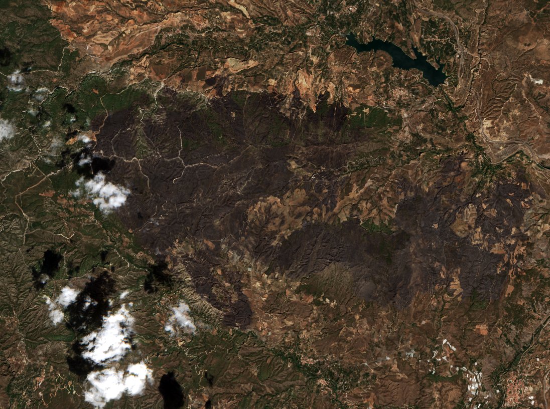 The area after the fire, September 15, 2022