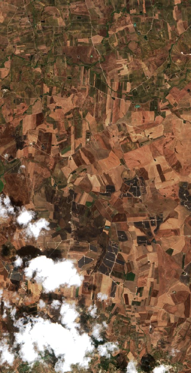 Burned area near Camporeale from space