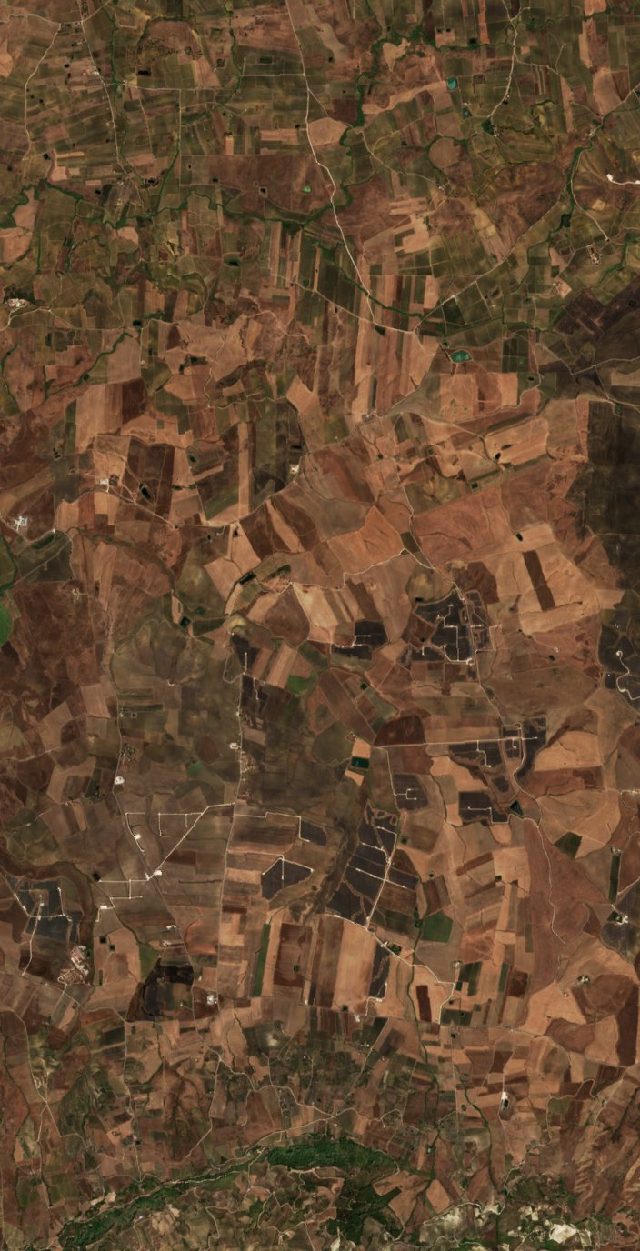 Burned area near Roccamena from space
