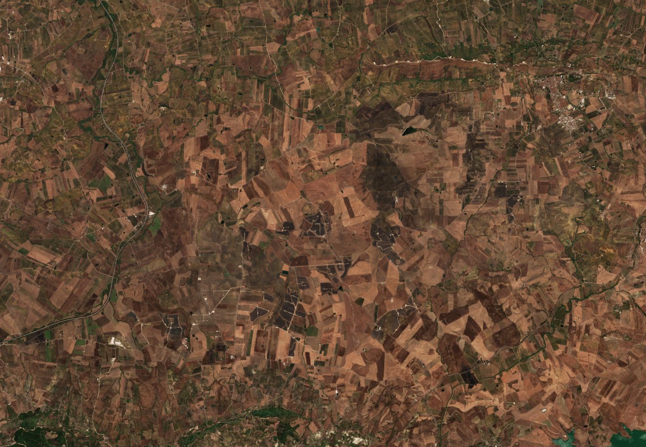 The area before the fire, August 17, 2026