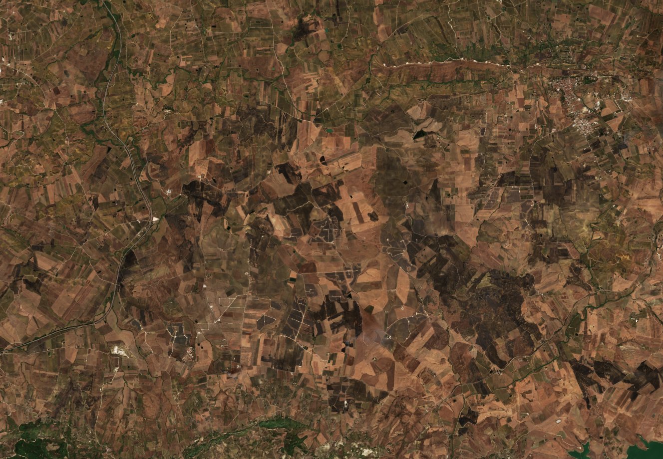 The area after the fire, September 11, 2026