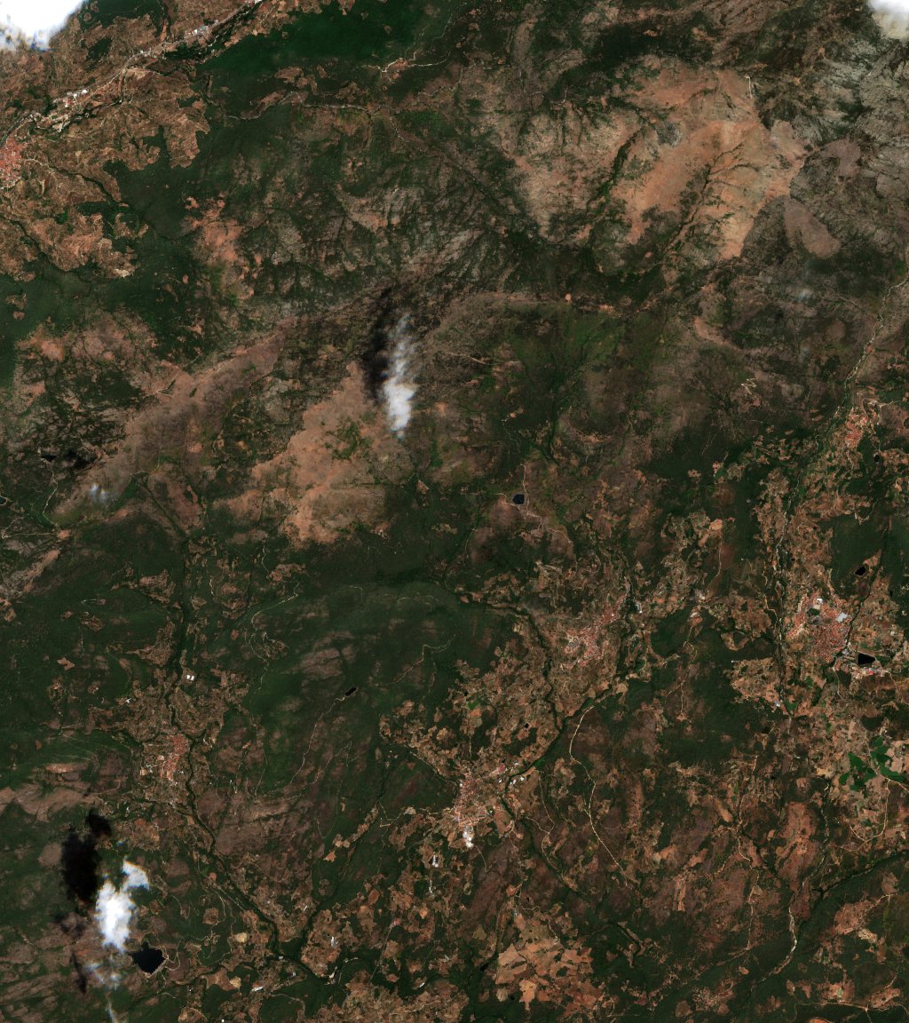 Sentinel-2 images
