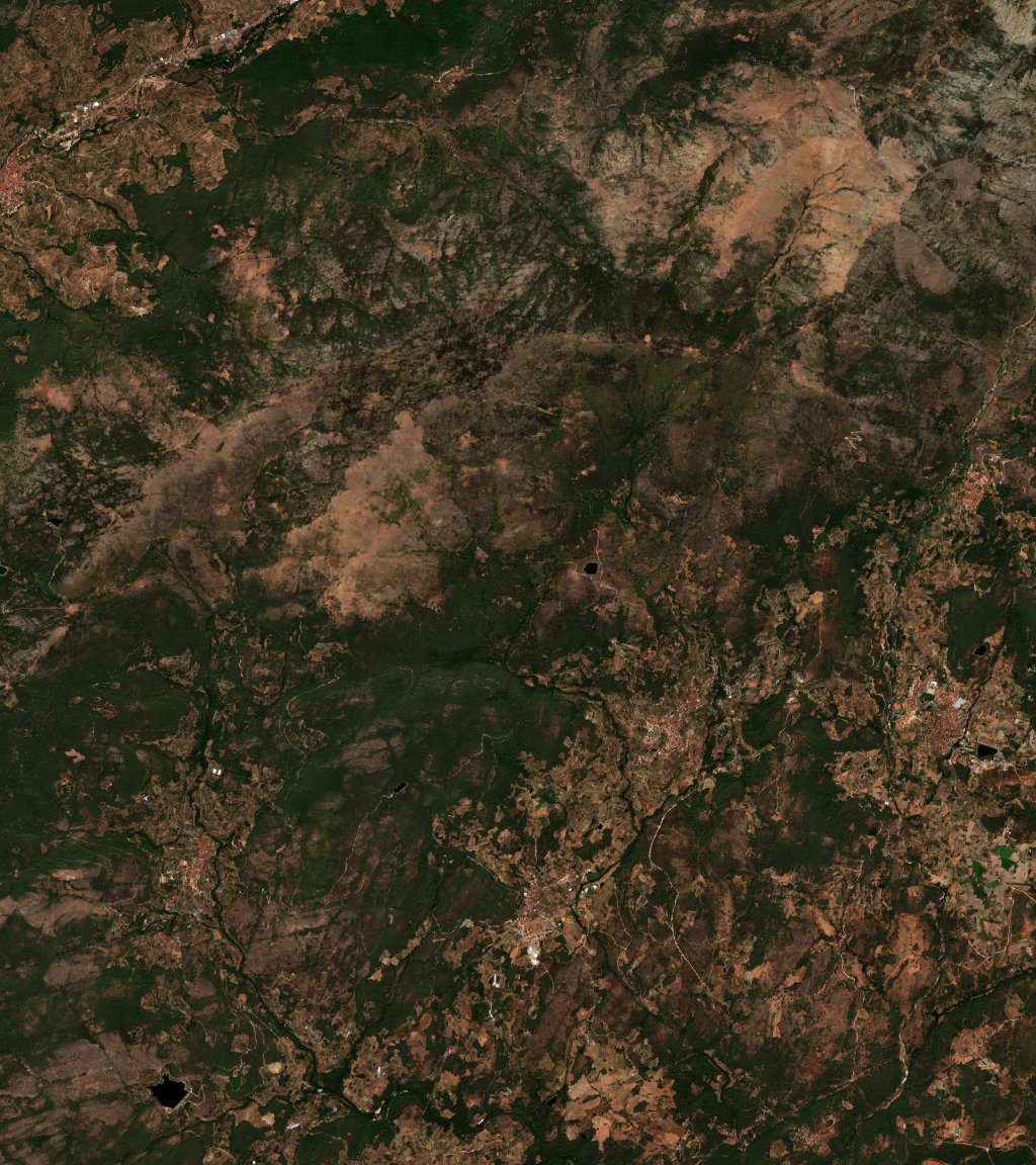 The area before the fire, August 19, 2020