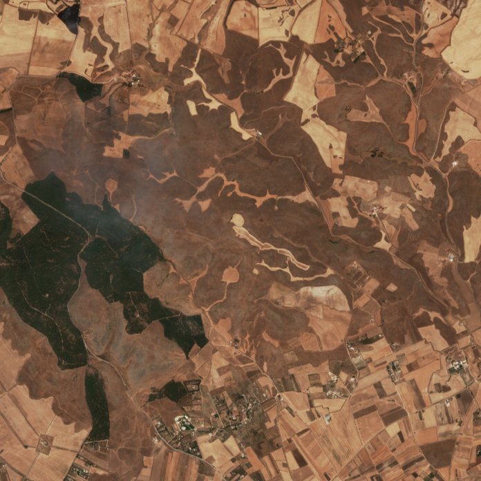 Sentinel-2 images