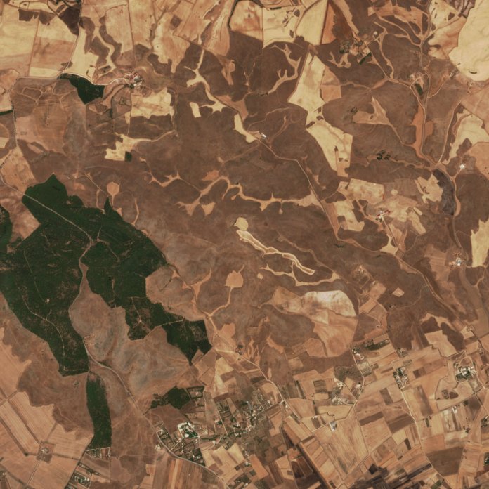 The area before the fire, August 6, 2026