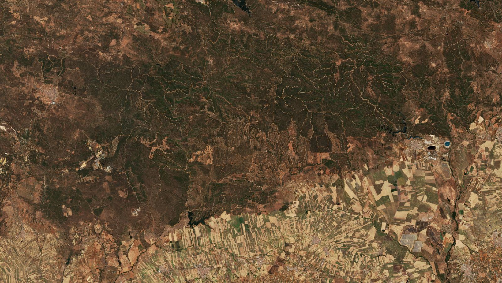 Sentinel-2 images