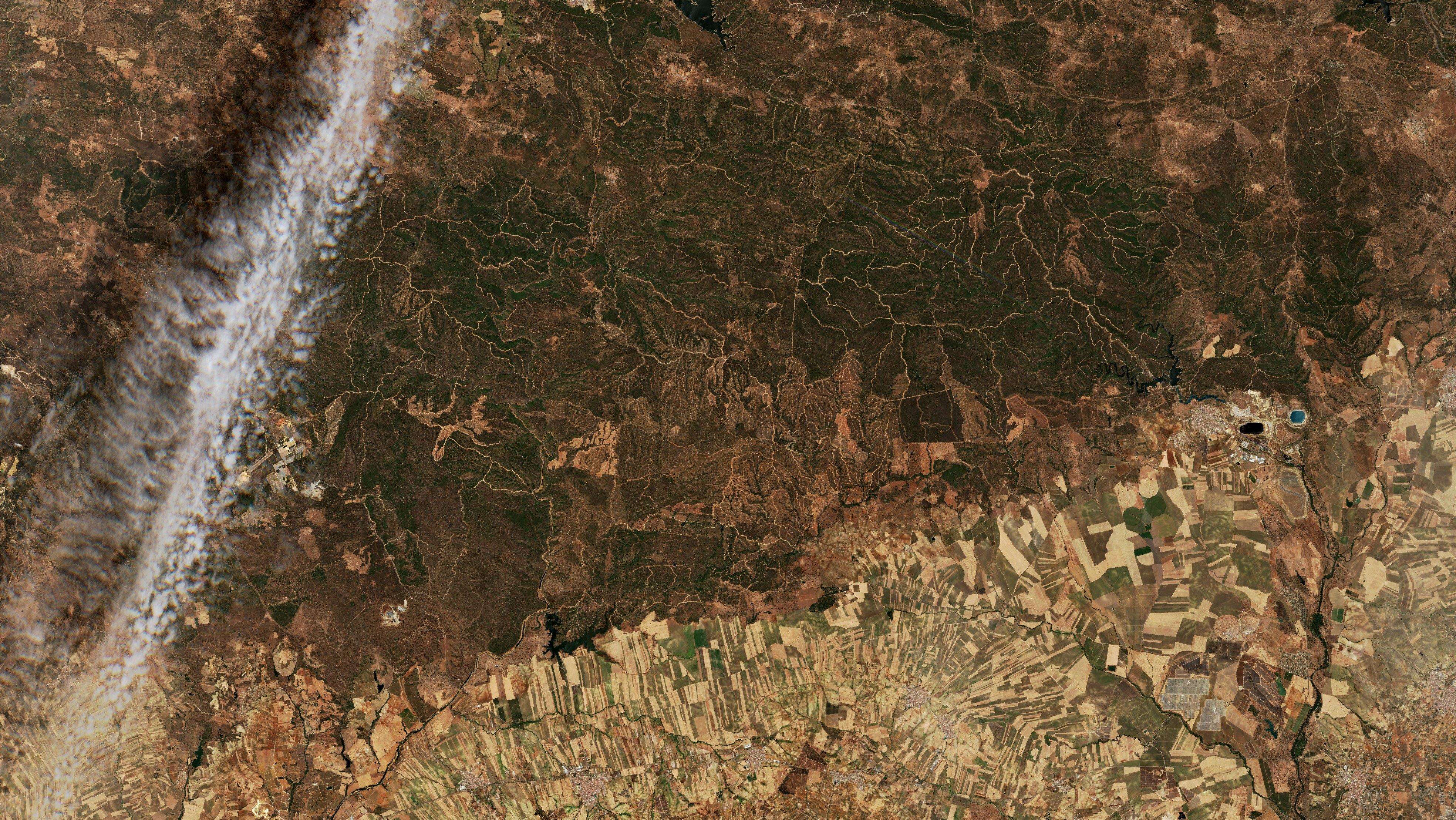 Sentinel-2 images