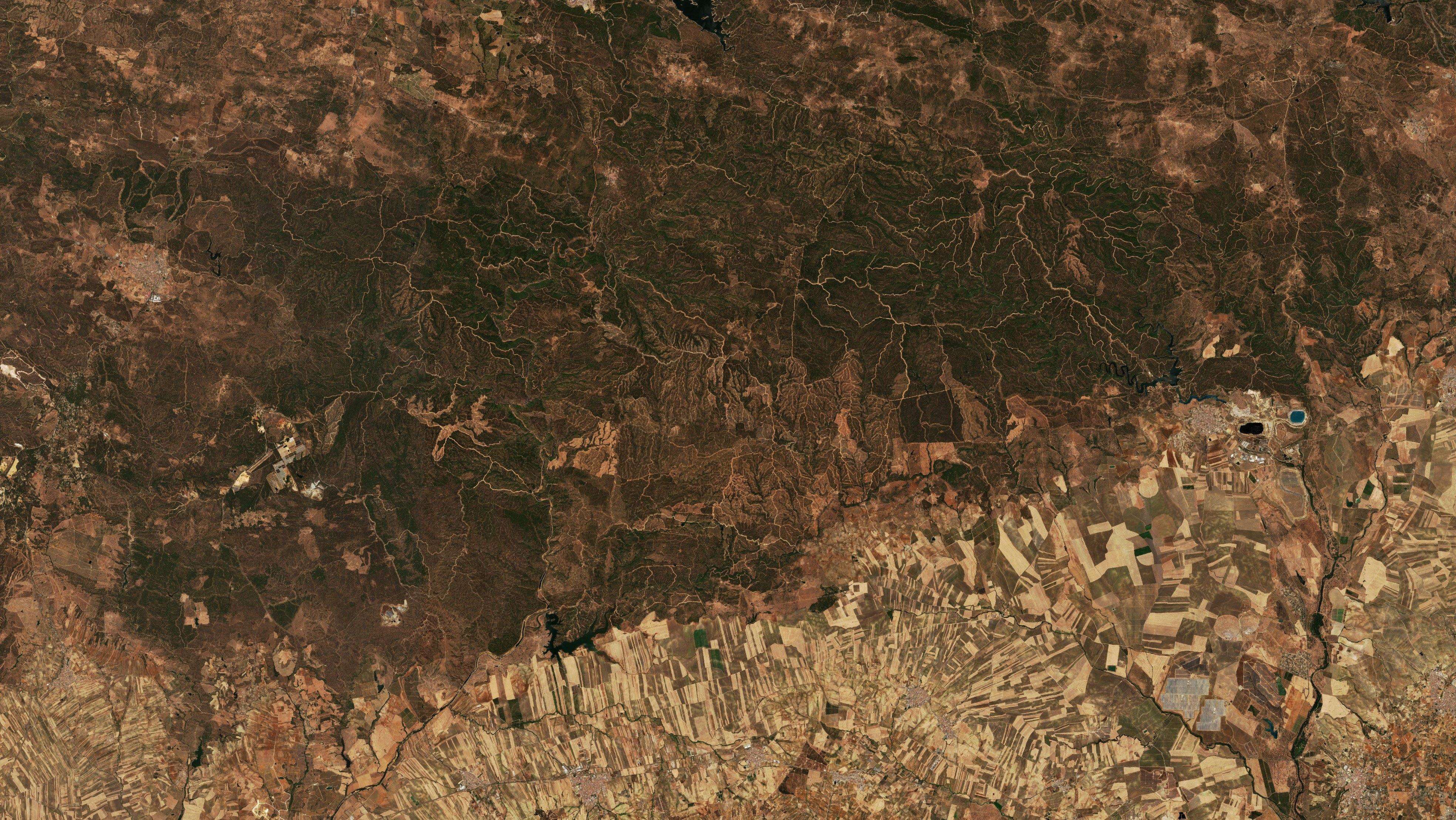 The area before the fire, July 26, 2026