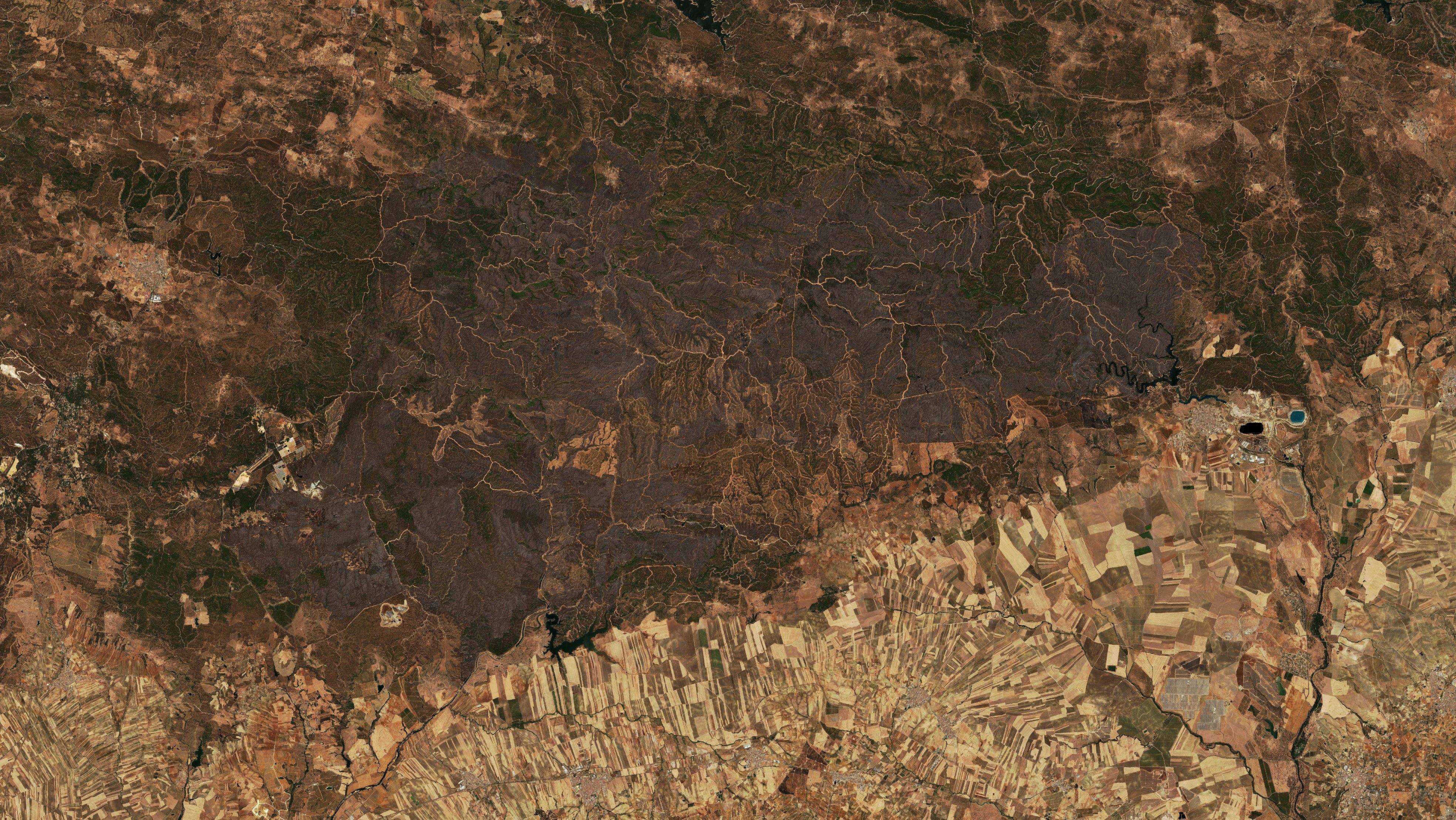The area after the fire, August 15, 2026