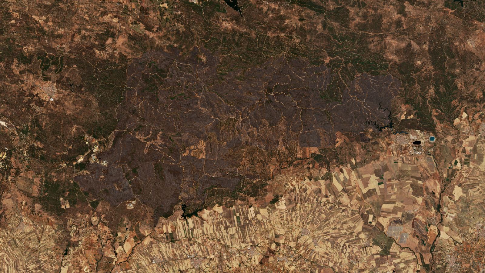 The area after the fire, August 18, 2026