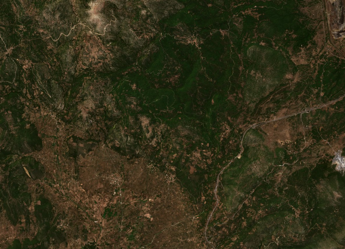 The area before the fire, July 27, 2021