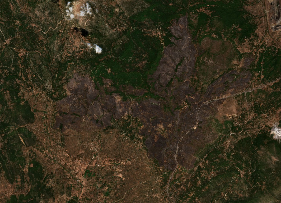 The area after the fire, August 16, 2021