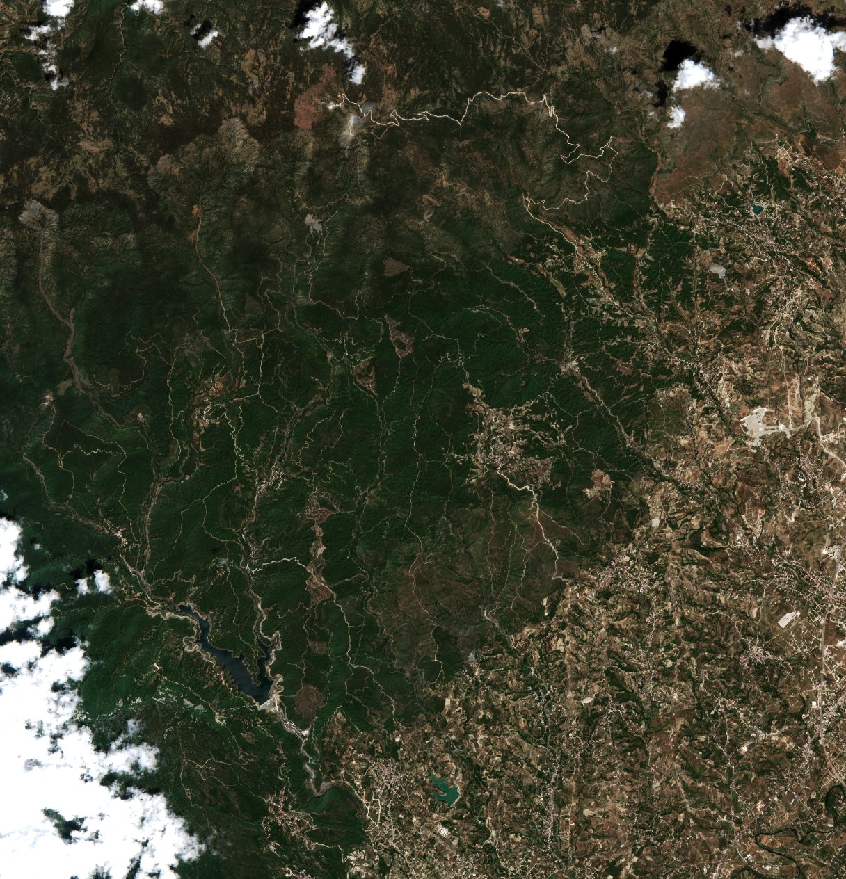 Sentinel-2 images