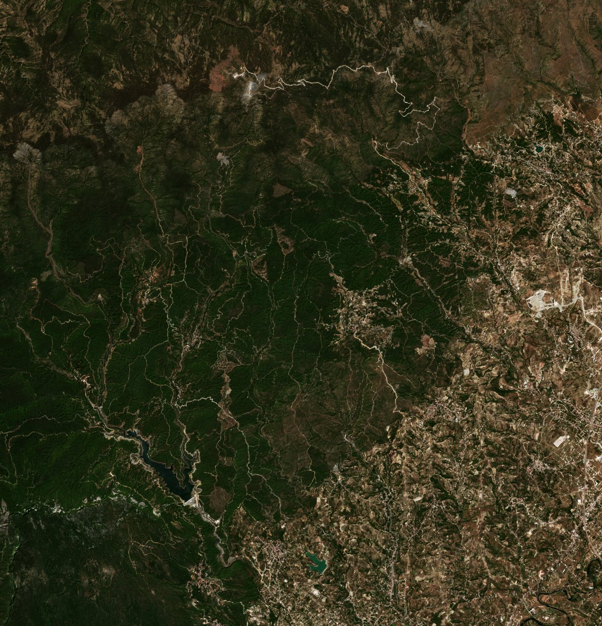The area before the fire, August 23, 2020