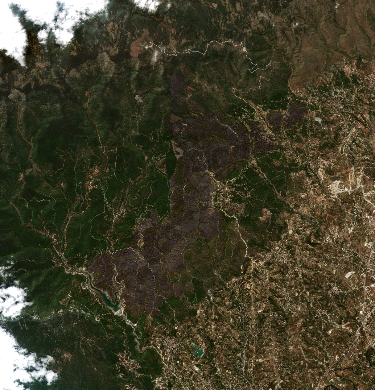 The area after the fire, September 12, 2020