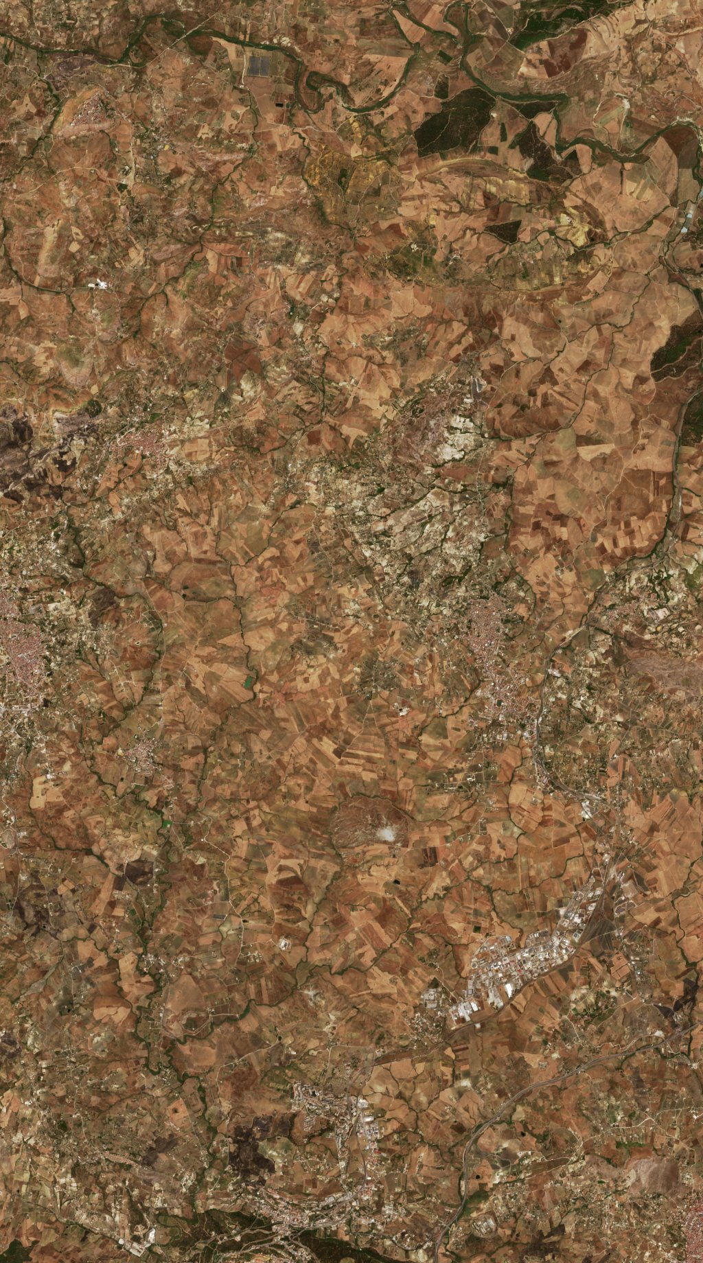 Sentinel-2 images
