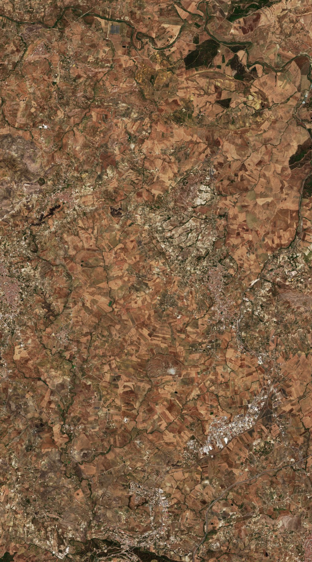 The area before the fire, August 4, 2026