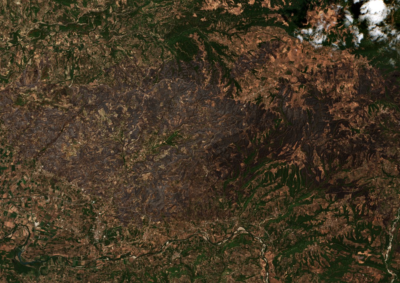 The area after the fire, August 16, 2021