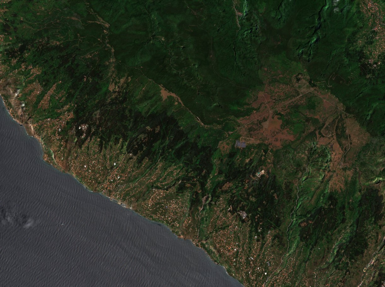 Sentinel-2 images