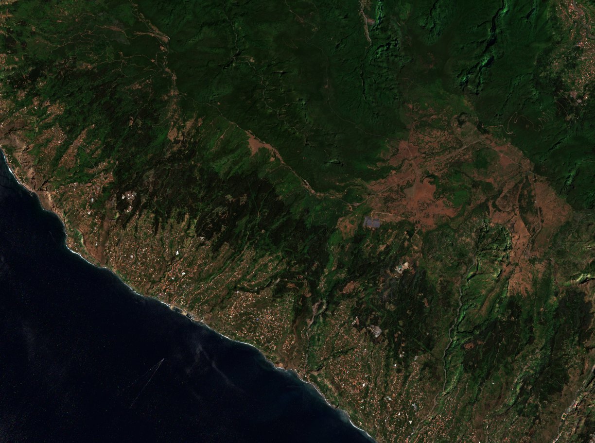 The area before the fire, August 7, 2016