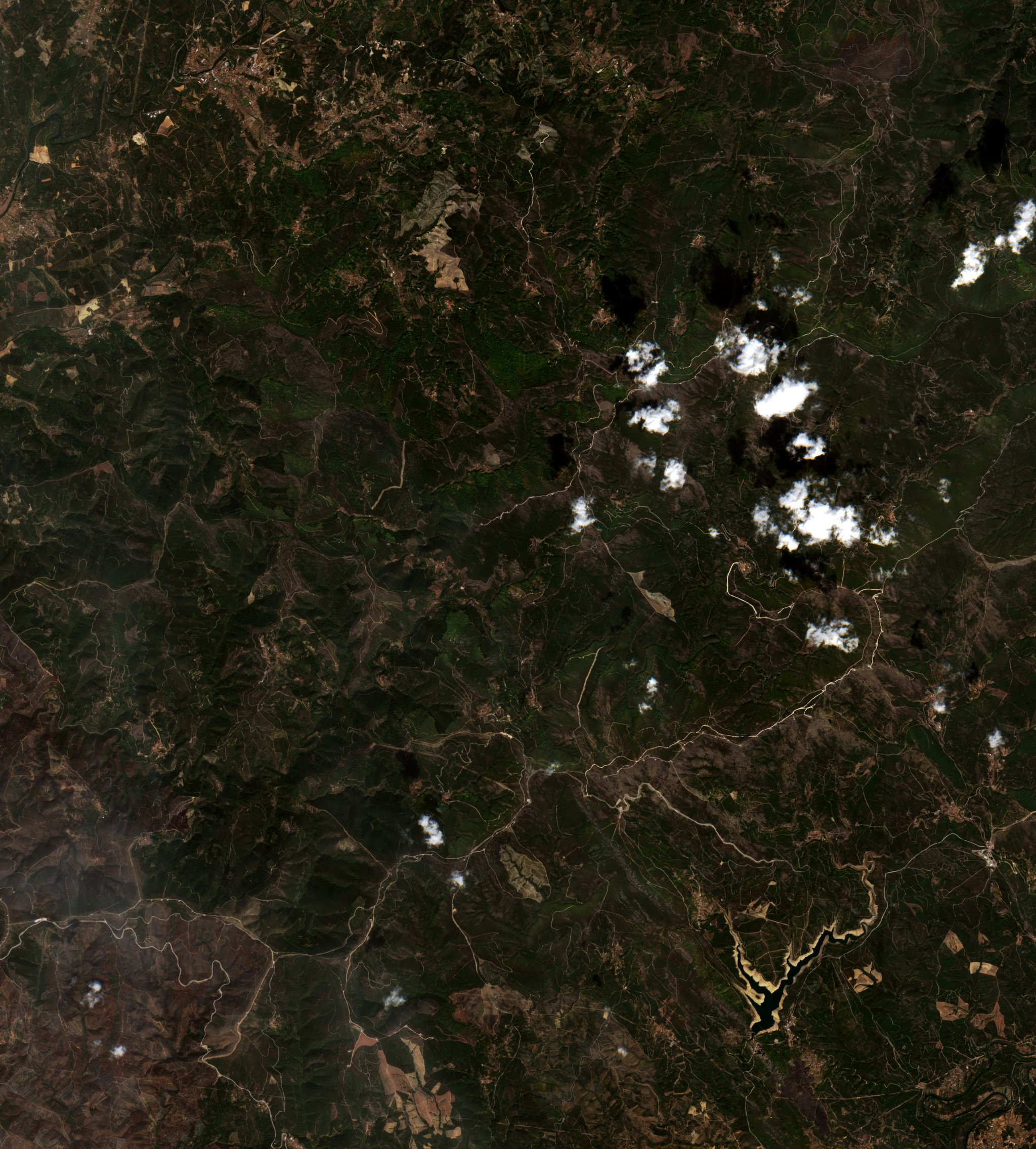 Sentinel-2 images