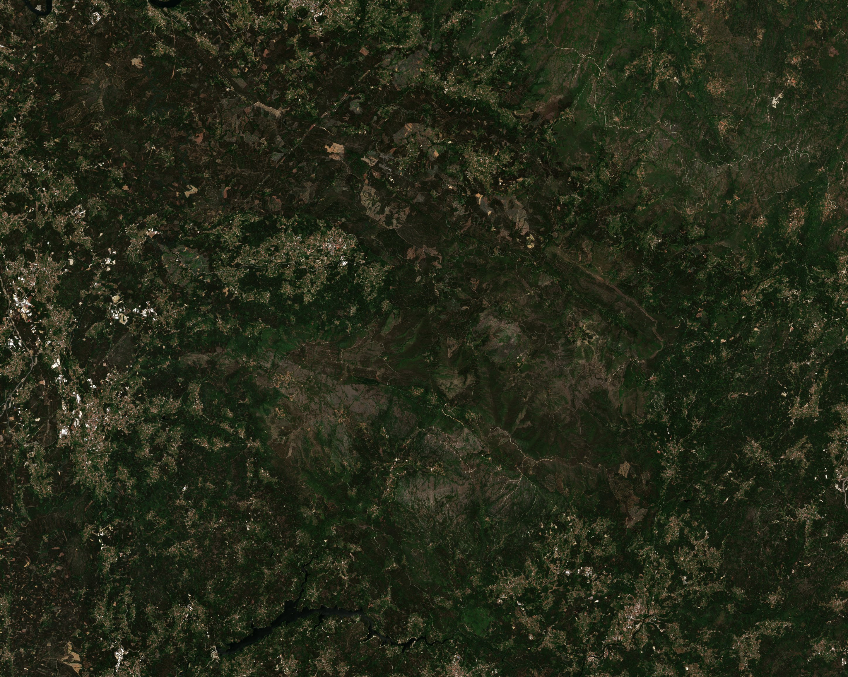 The area before the fire, July 9, 2016
