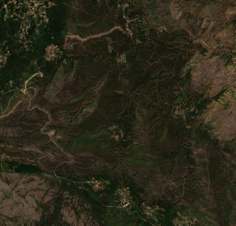 Sentinel-2 images