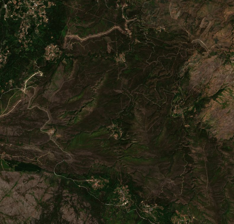 The area before the fire, August 6, 2026