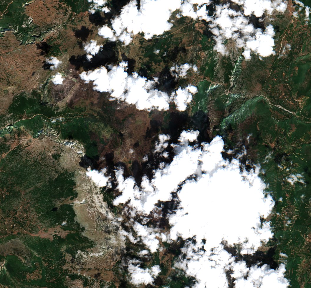The area after the fire, August 3, 2025