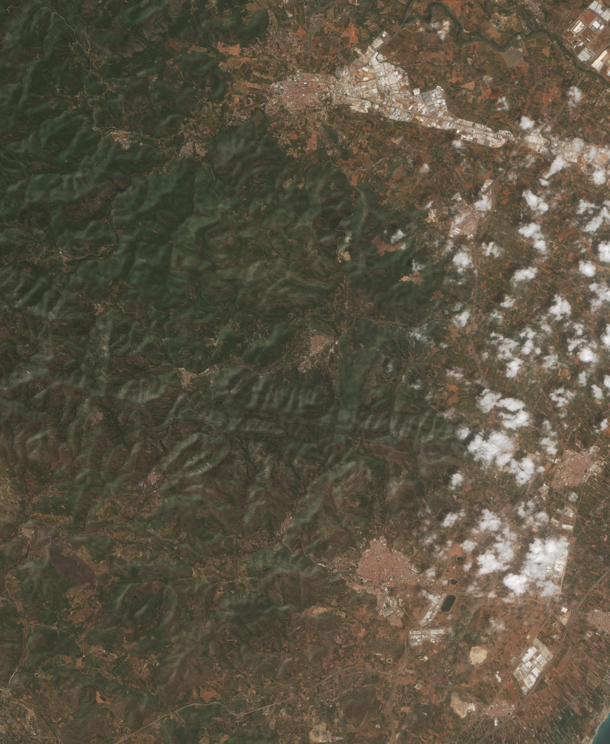 The area before the fire, July 23, 2026
