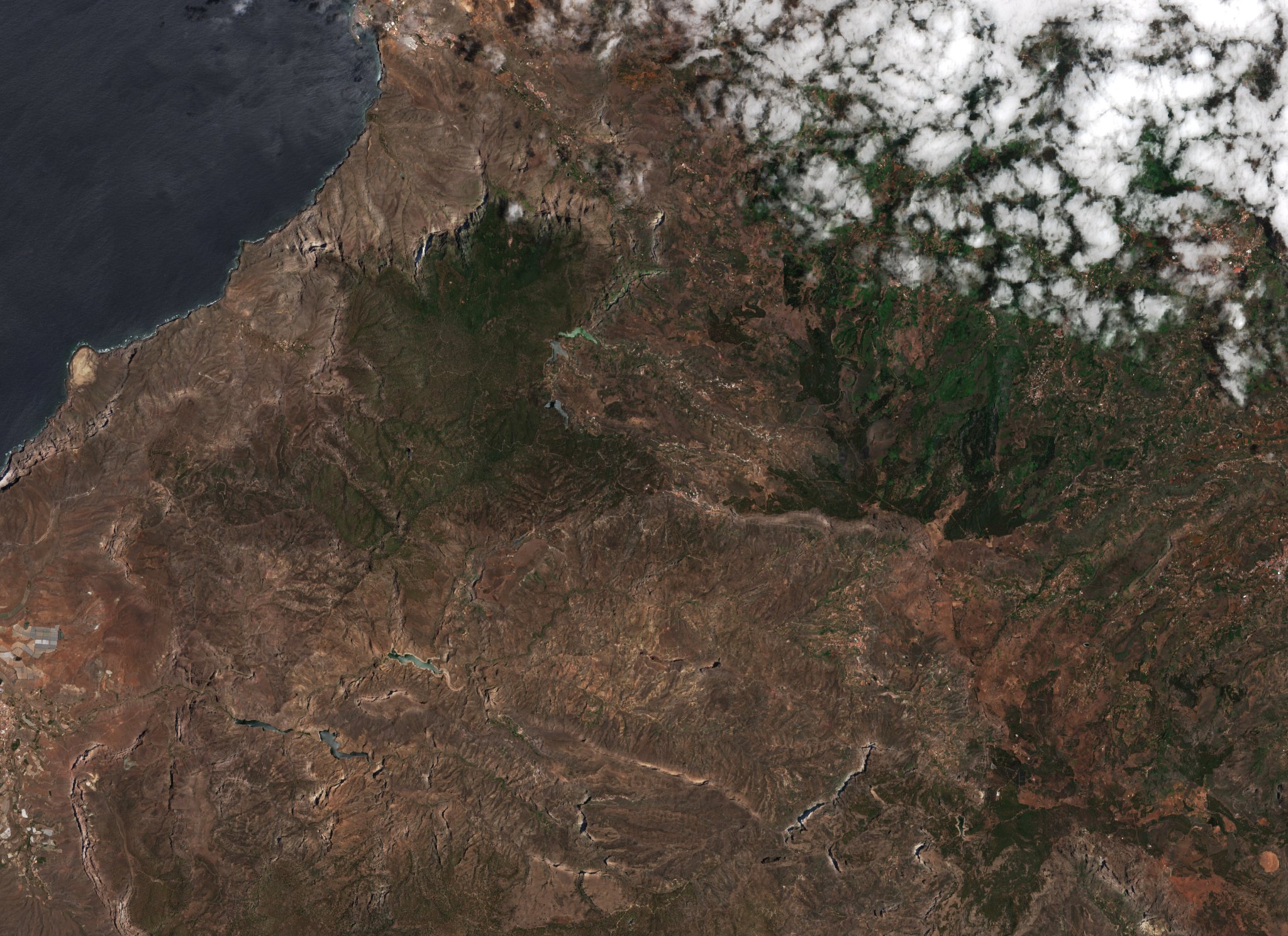 Sentinel-2 images