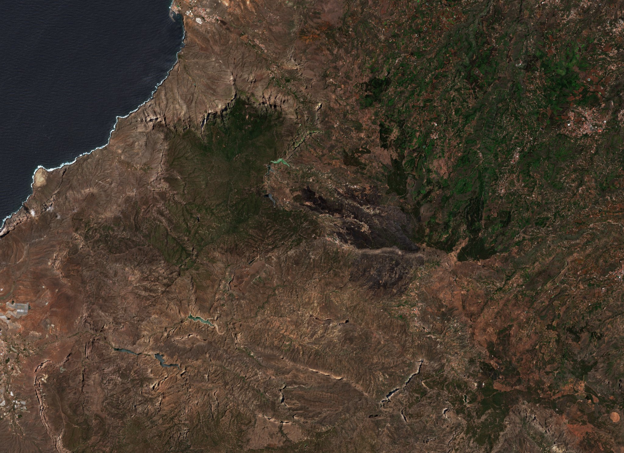 The area before the fire, August 14, 2019