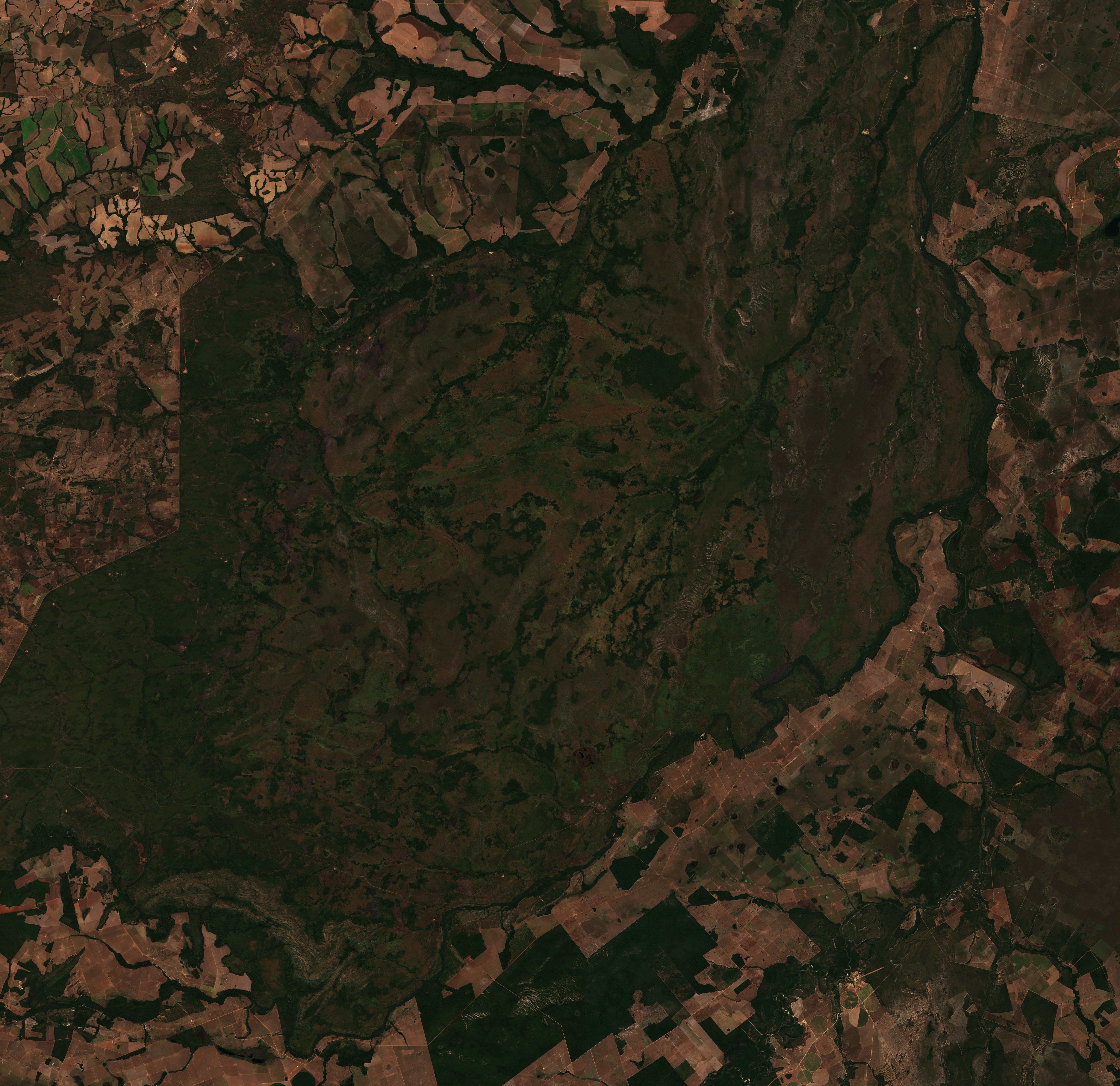 The area before the fire, July 8, 2026