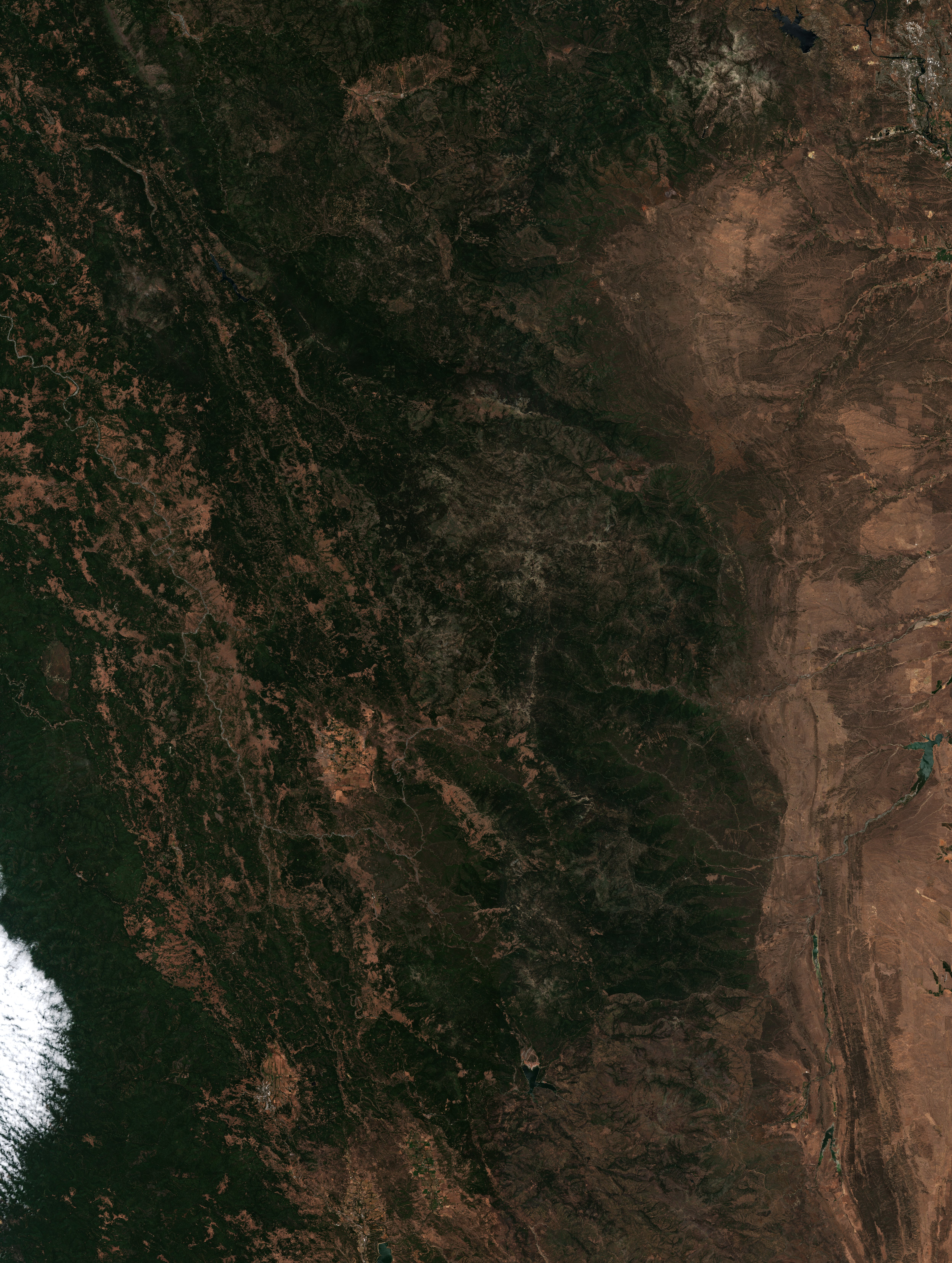 The area before the fire, July 31, 2020