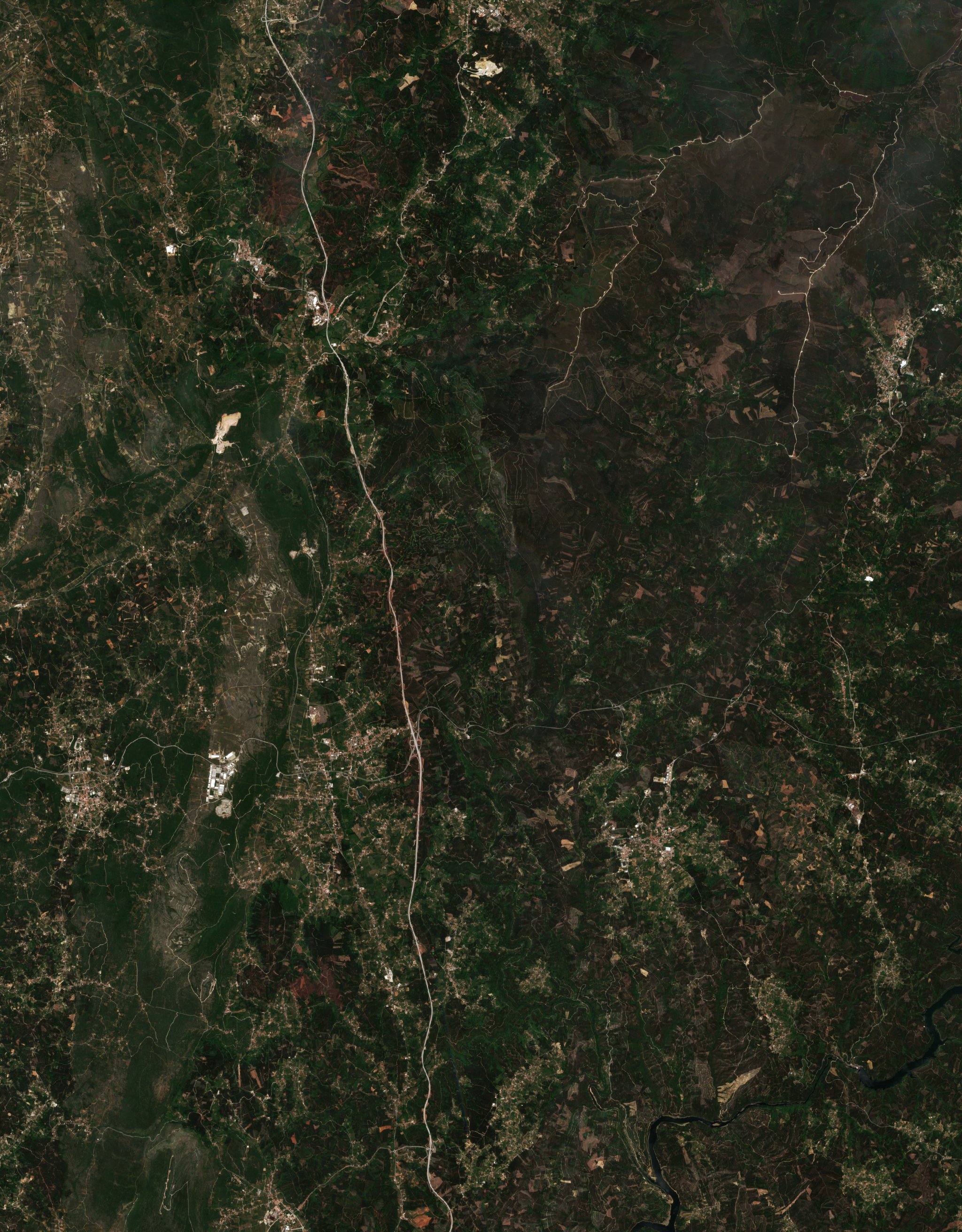Sentinel-2 images