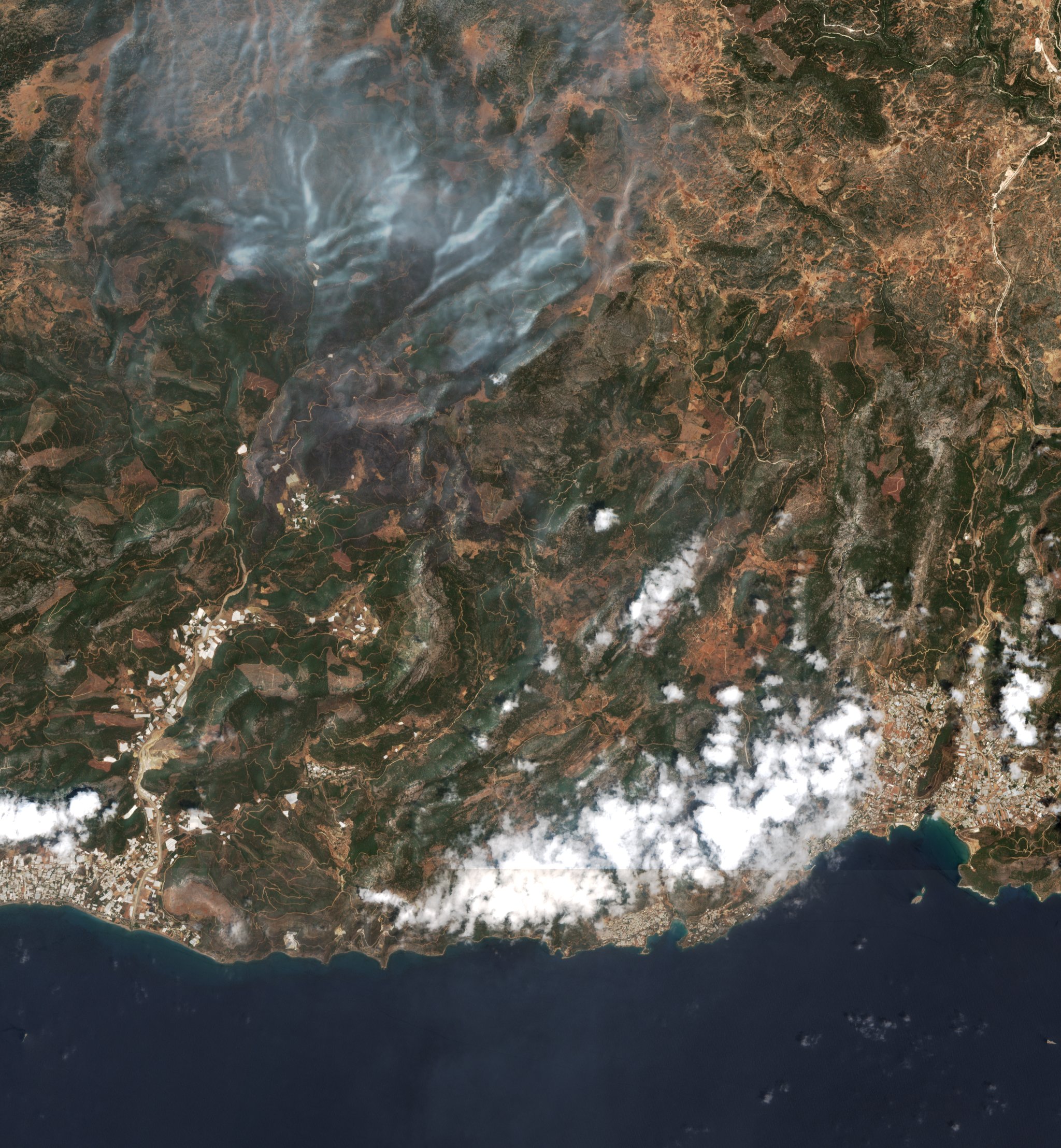 The area before the fire, July 17, 2021