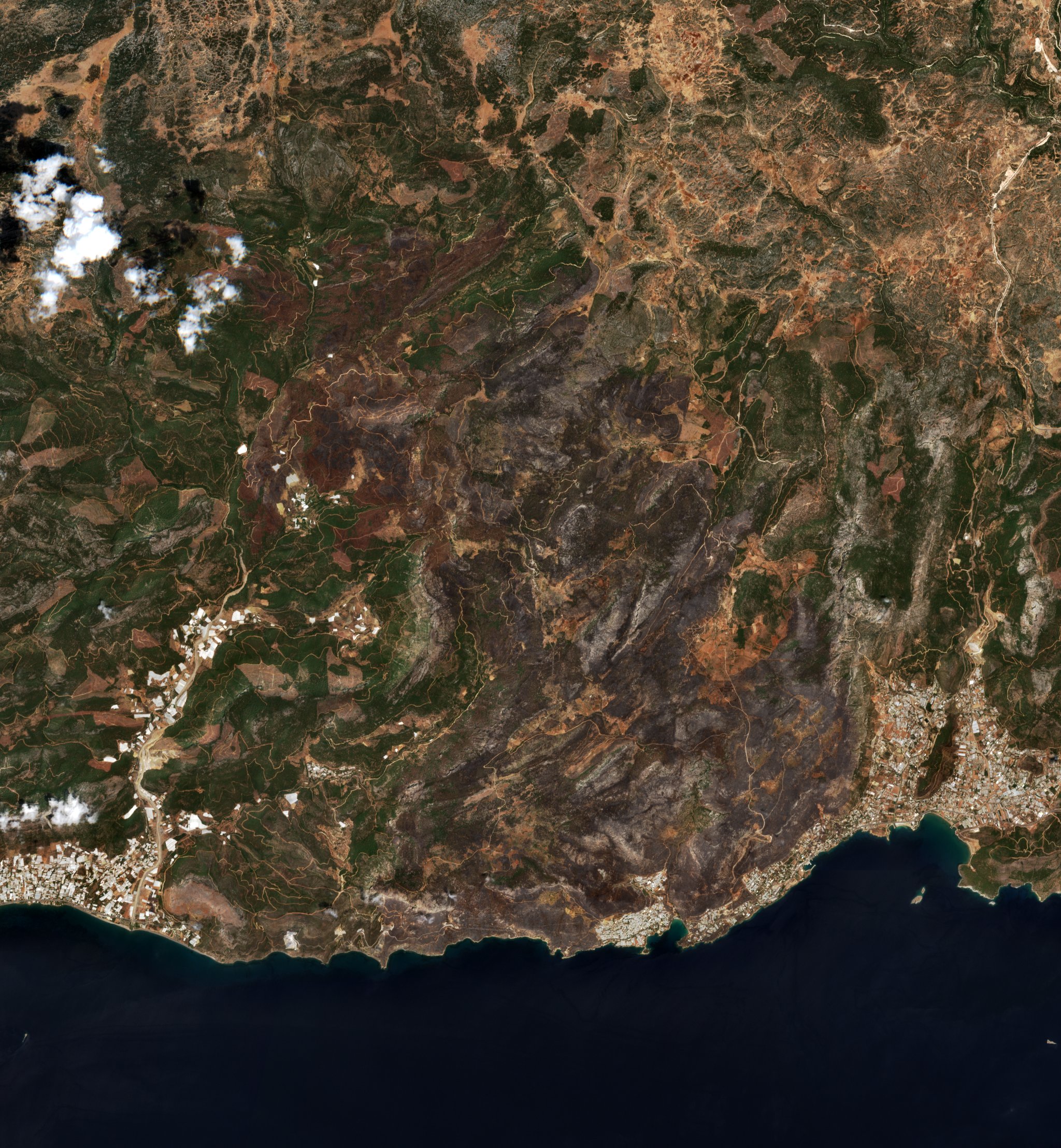The area after the fire, August 6, 2021