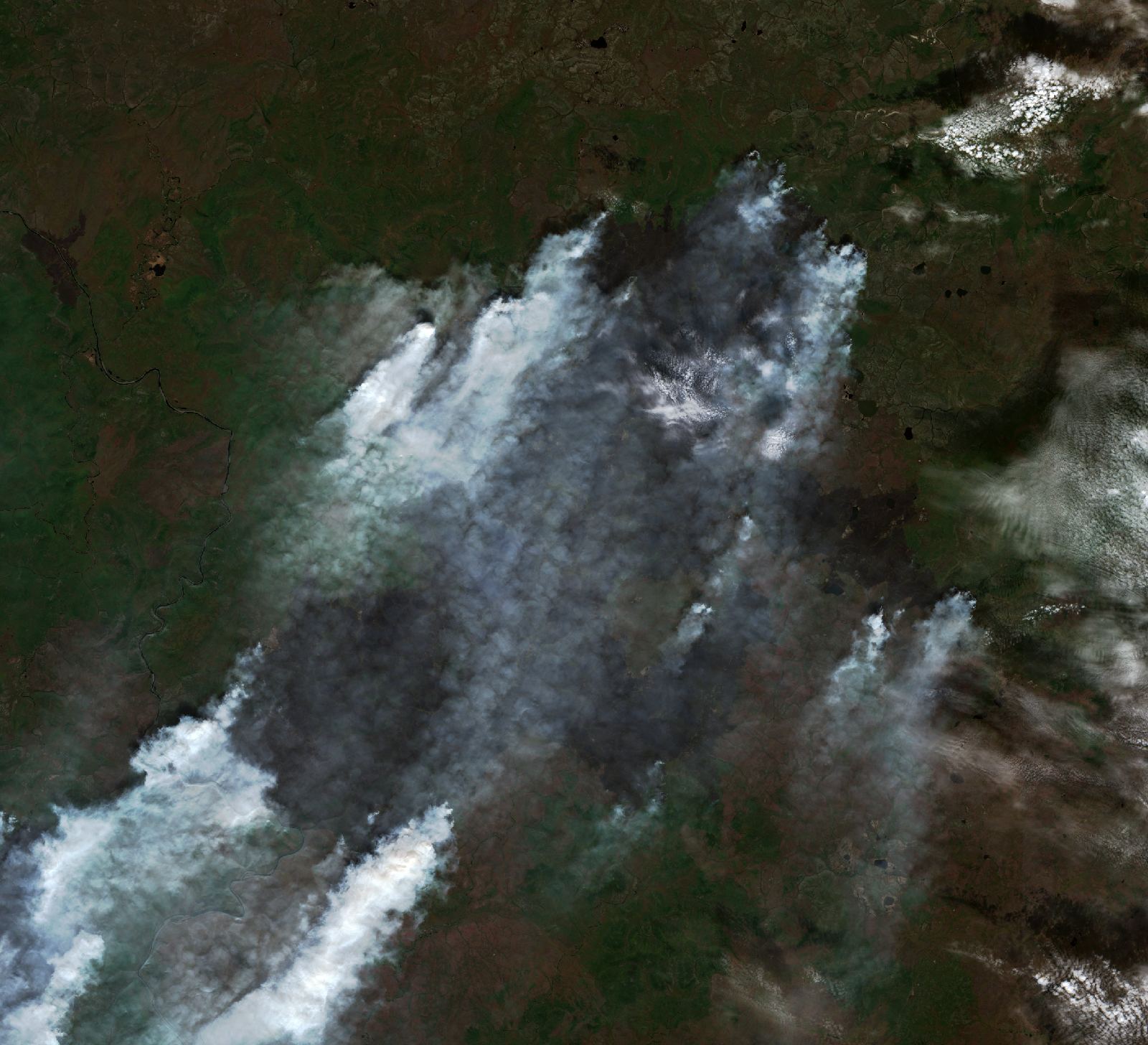 The area after the fire, August 20, 2026