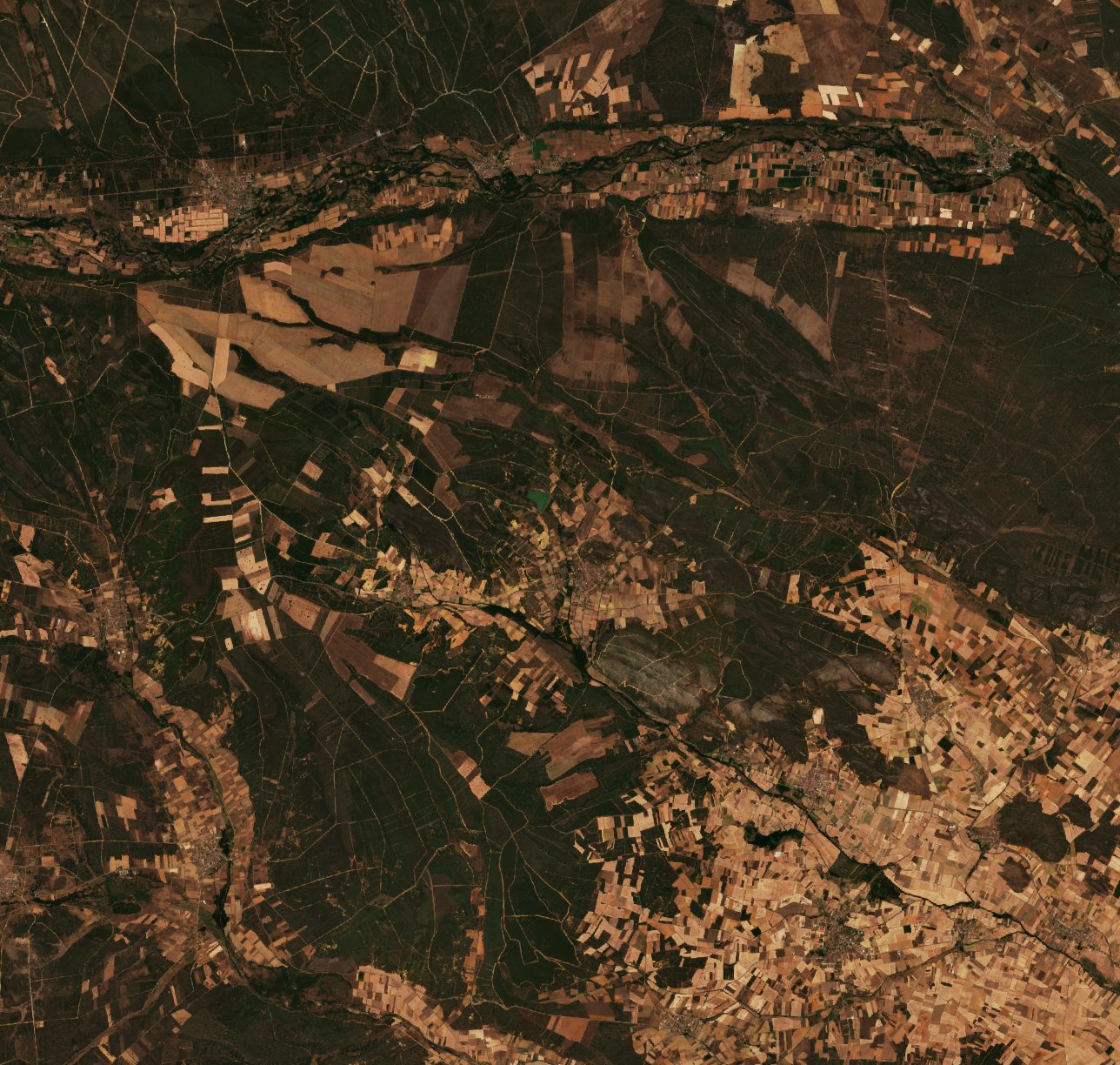 The area before the fire, August 1, 2025