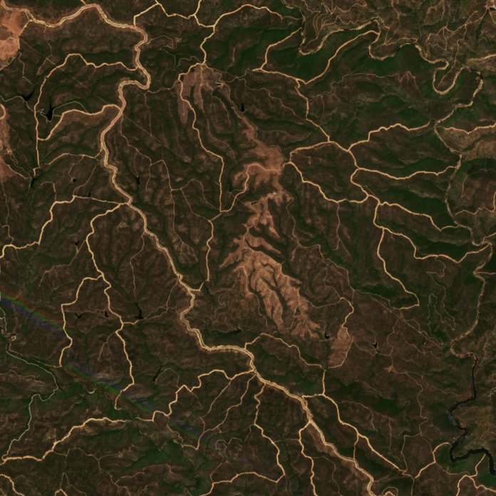 Sentinel-2 images